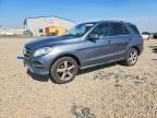 2018 MERCEDES-BENZ GLE