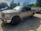 2010 FORD F150