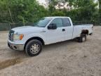 2010 FORD F150