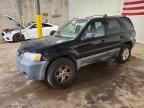 2005 FORD ESCAPE