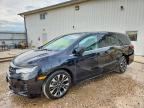 2026 HONDA ODYSSEY