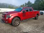 2013 FORD F150