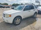 2009 FORD ESCAPE