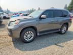 2011 LEXUS GX