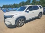 2024 HONDA PILOT