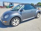 2005 VOLKSWAGEN NEW BEETLE