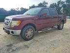 2009 FORD F150