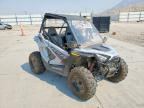 2024 POLS RZR
