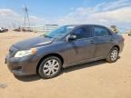 2009 TOYOTA COROLLA