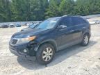 2013 KIA SORENTO