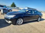 2010 LEXUS ES