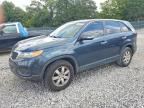 2011 KIA SORENTO