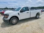 2024 FORD F150