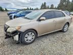 2009 TOYOTA COROLLA