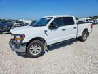 2023 FORD F150