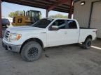 2013 FORD F150