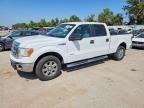 2013 FORD F150