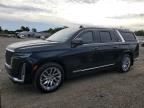 2023 CADILLAC ESCALADE