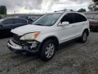 2007 HONDA CR-V