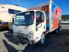 2024 ISUZU NPR HD