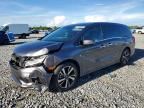2020 HONDA ODYSSEY