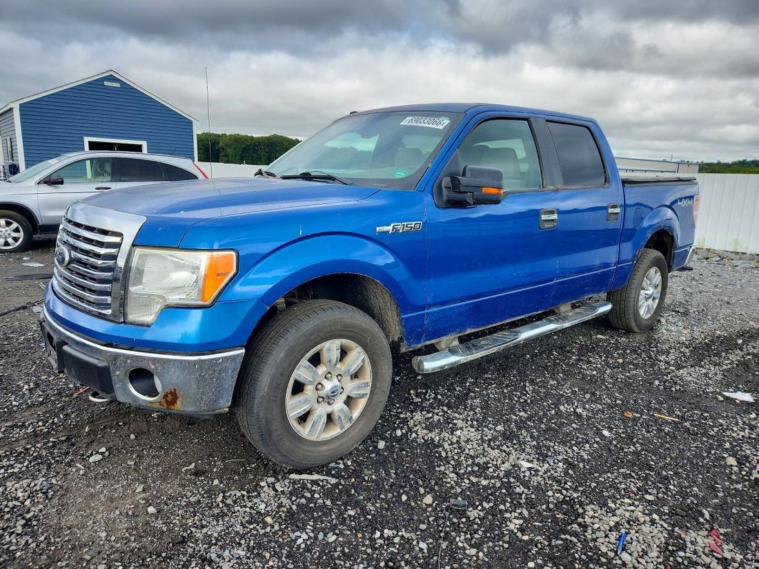 2010 FORD F150