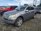 2010 MERCEDES-BENZ ML