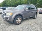 2011 FORD ESCAPE