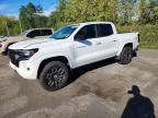 2024 CHEVROLET COLORADO