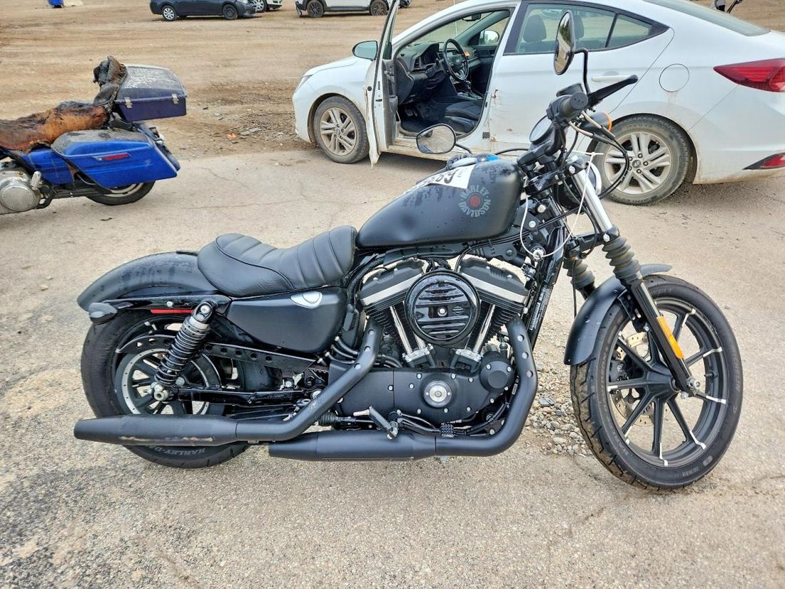 2019 HARLEY-DAVIDSON XL883