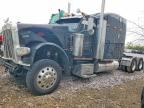 2011 PETERBILT 389