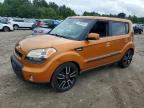 2010 KIA SOUL