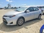 2019 TOYOTA COROLLA