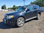 2009 FORD ESCAPE