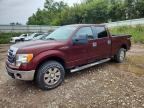 2009 FORD F150