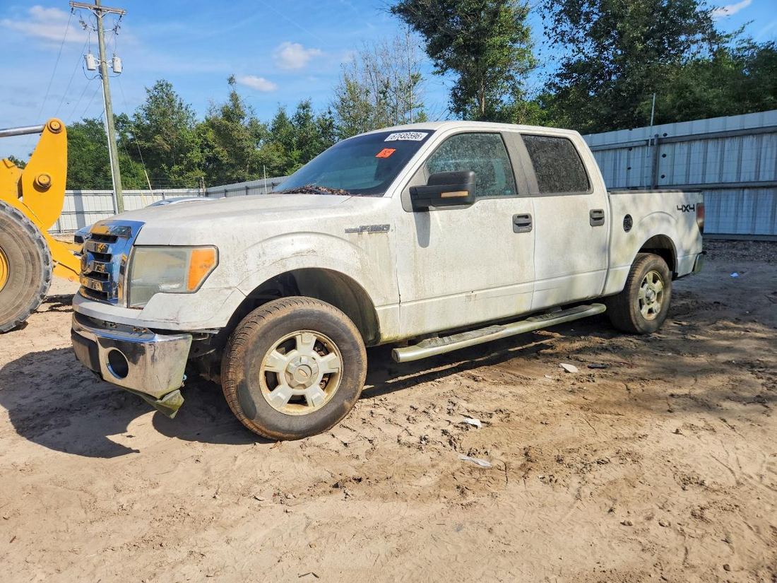 2010 FORD F150