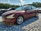 2010 NISSAN MAXIMA