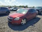 2010 CHEVROLET MALIBU