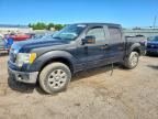 2010 FORD F150