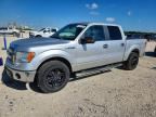 2013 FORD F150