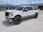 2009 FORD F150