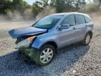 2008 HONDA CR-V