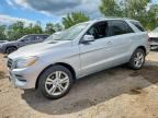2014 MERCEDES-BENZ ML