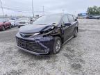 2024 TOYOTA SIENNA