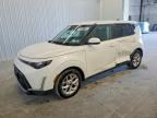 2025 KIA SOUL