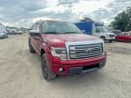 2013 FORD F150