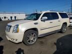2008 CADILLAC ESCALADE