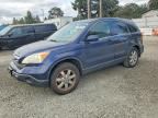 2007 HONDA CR-V