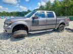 2013 FORD F150