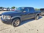 2010 DODGE DAKOTA